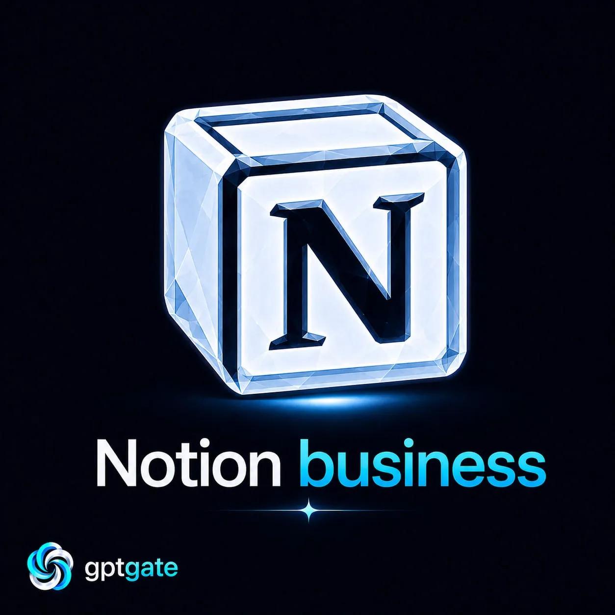 ‏Notion business 3months‏